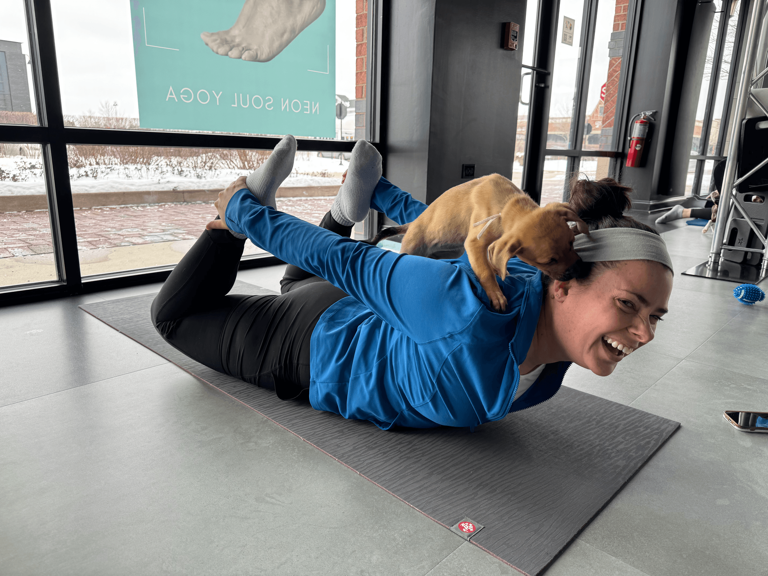 Indoor goat yoga bow pose participant with playful puppy in studio