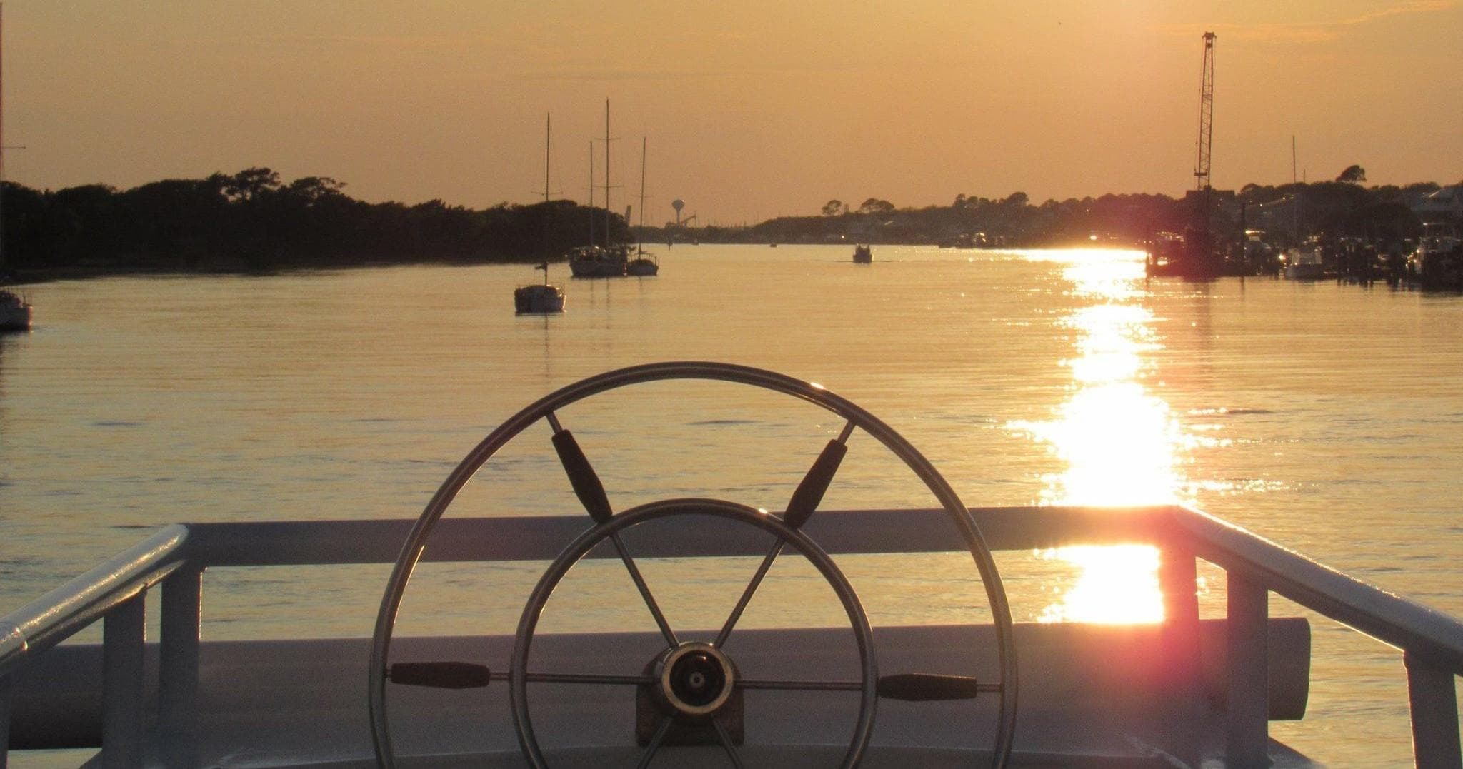Experience the Magic of the Crystal Coast on the Dolphin & Wild Horse Sunset Tour