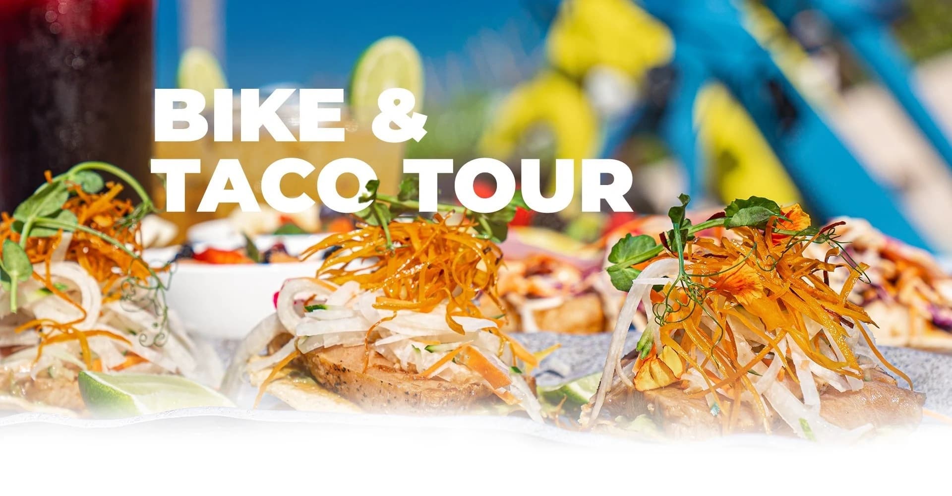 Land Adventures in Punta Mita with Punta Mita Ocean Sports