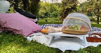 Outdoor Dining & Picnic with Catering Option One