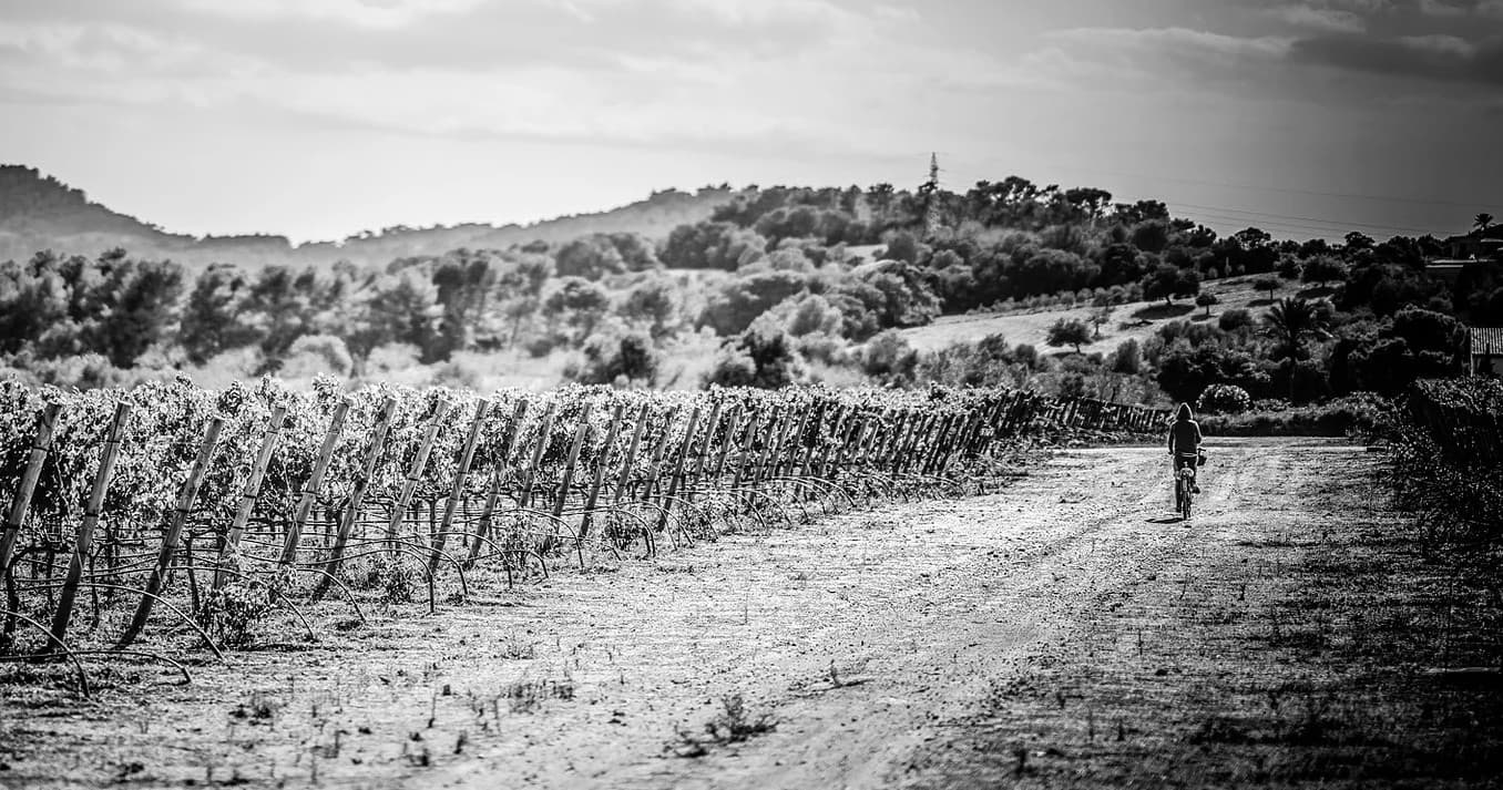 Epic Road Bike Tour Through Mallorca’s Tramuntana Mountains