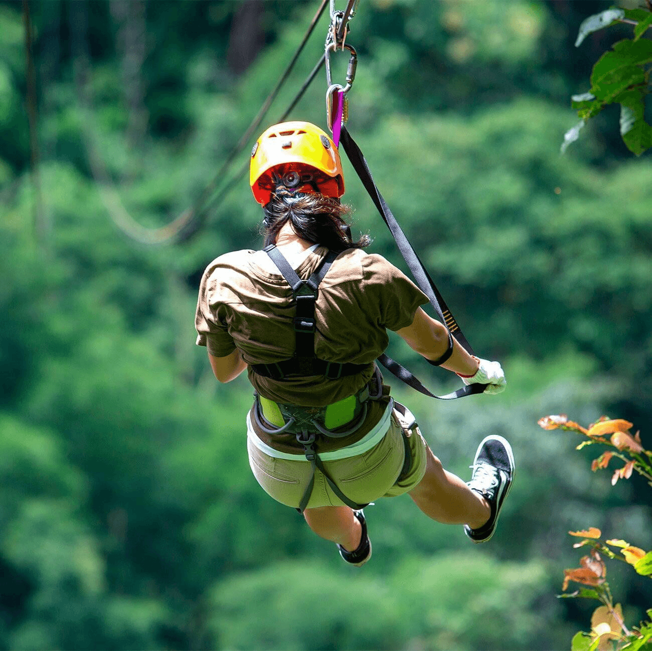Zip-Lining and Blue Hole Adventure in Ocho Rios