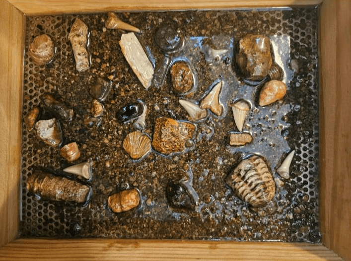 Fossil Discovery & Gem Panning at Raccoon Mountain Caverns