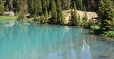Alpine Scenic 4x4 Tours fleet