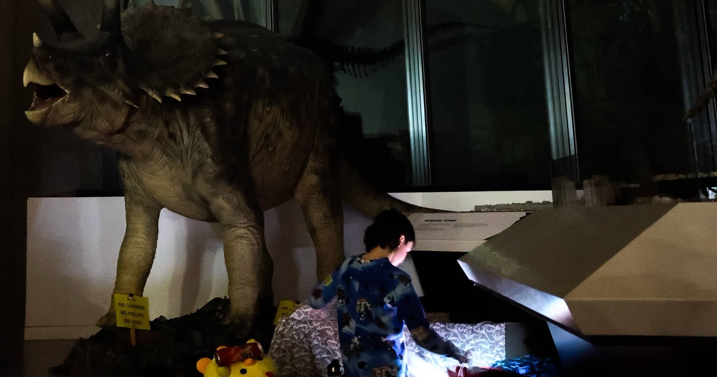 Night at the Museum: Dinosaur Adventure at Philip J Currie Museum