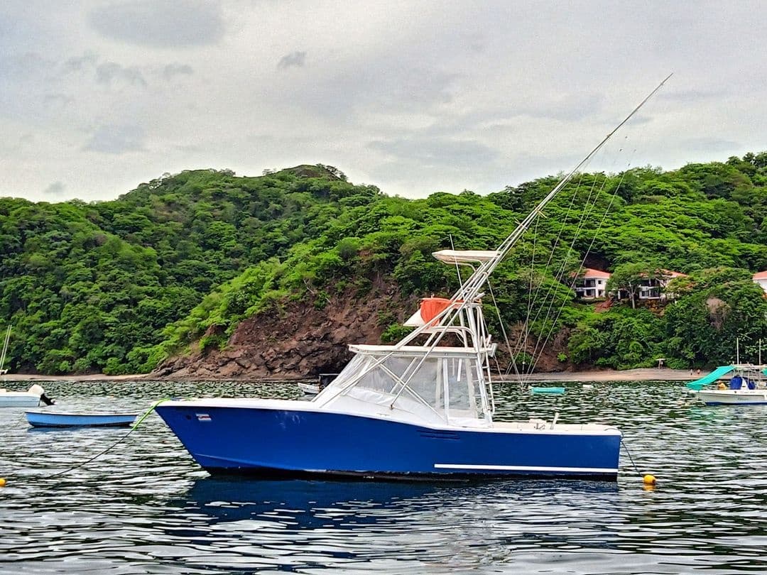 Blue sportfishing yacht moored in sheltered bay with green hills