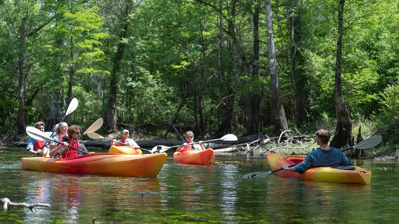 Paddle to Baltzell Spring on the Chipola River: Guided 2.5-Hour Tour from Marianna, Florida