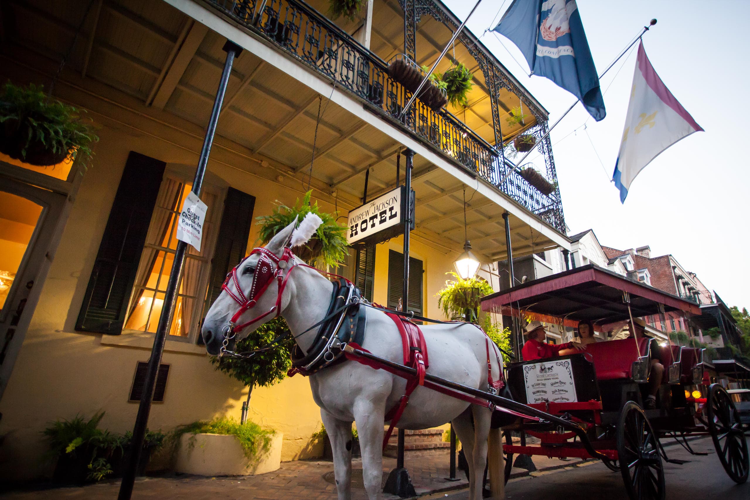 Horse and carriage parked on French Quarter street at dusk