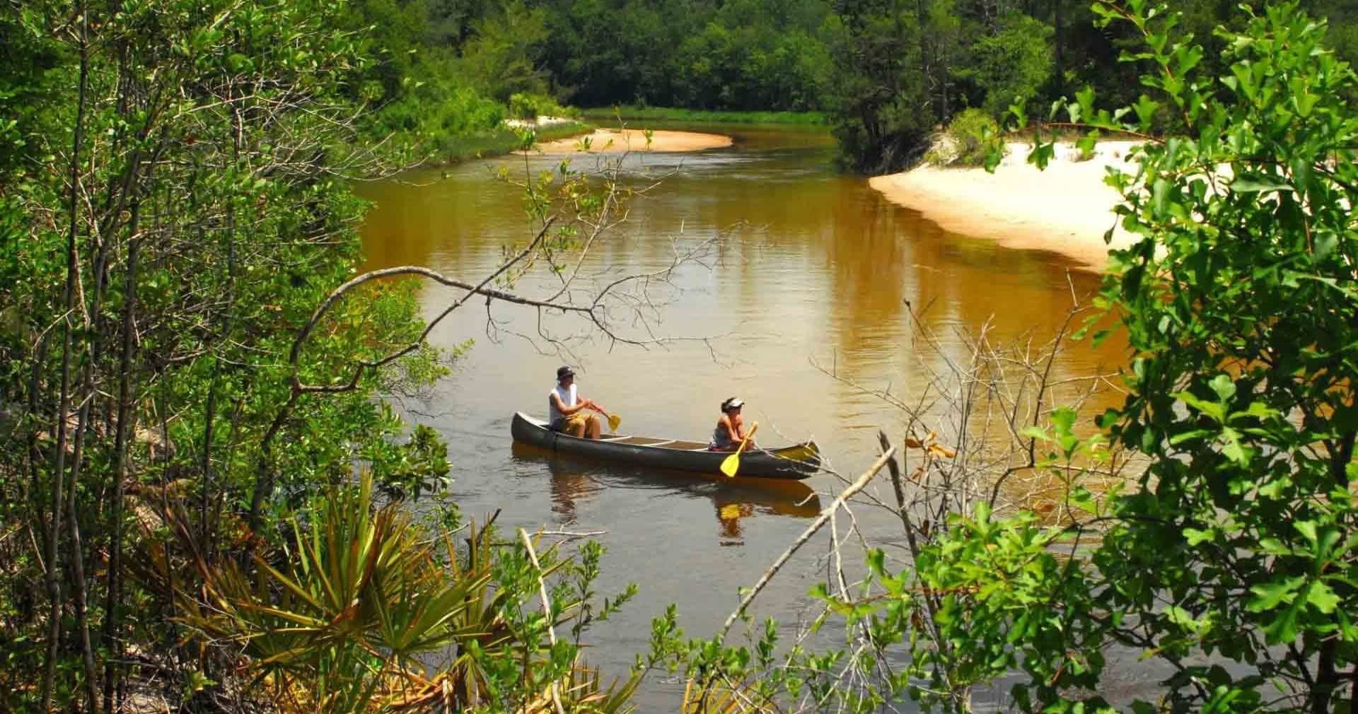 Water Activities & Blackwater Canoe Rental: Scenic Paddle in Nature