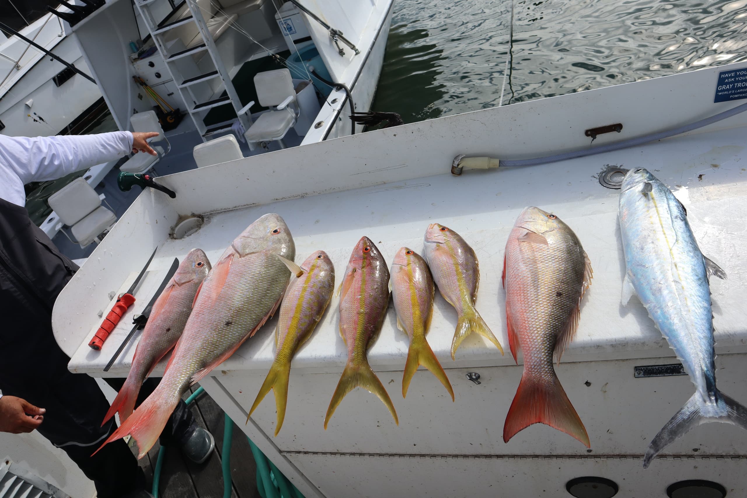 Key West 6-Hour Split Charter: Reef-to-Offshore Fishing Adventure