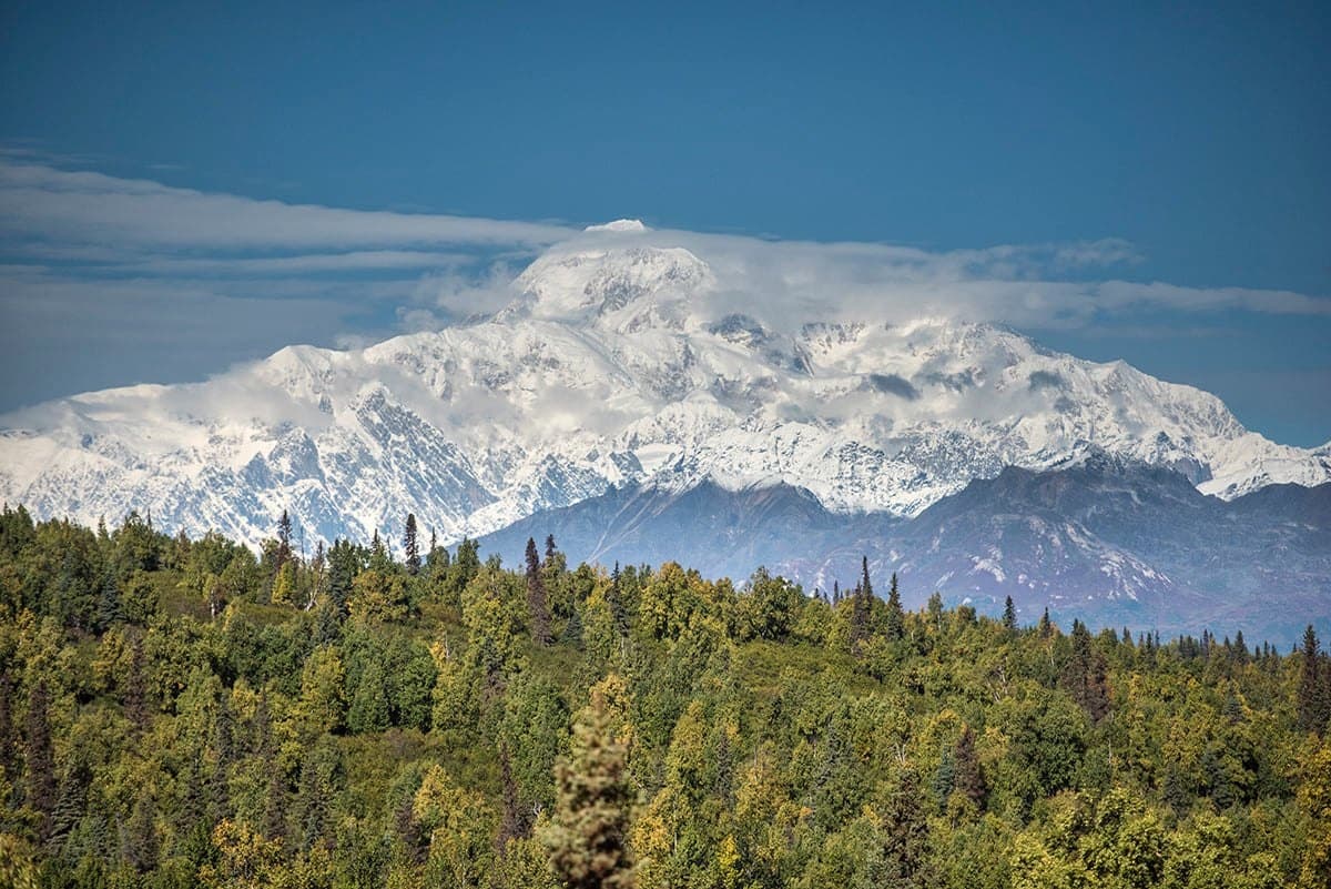 Denali 2 Day Luxury Rail & Boat Adventure in Alaska