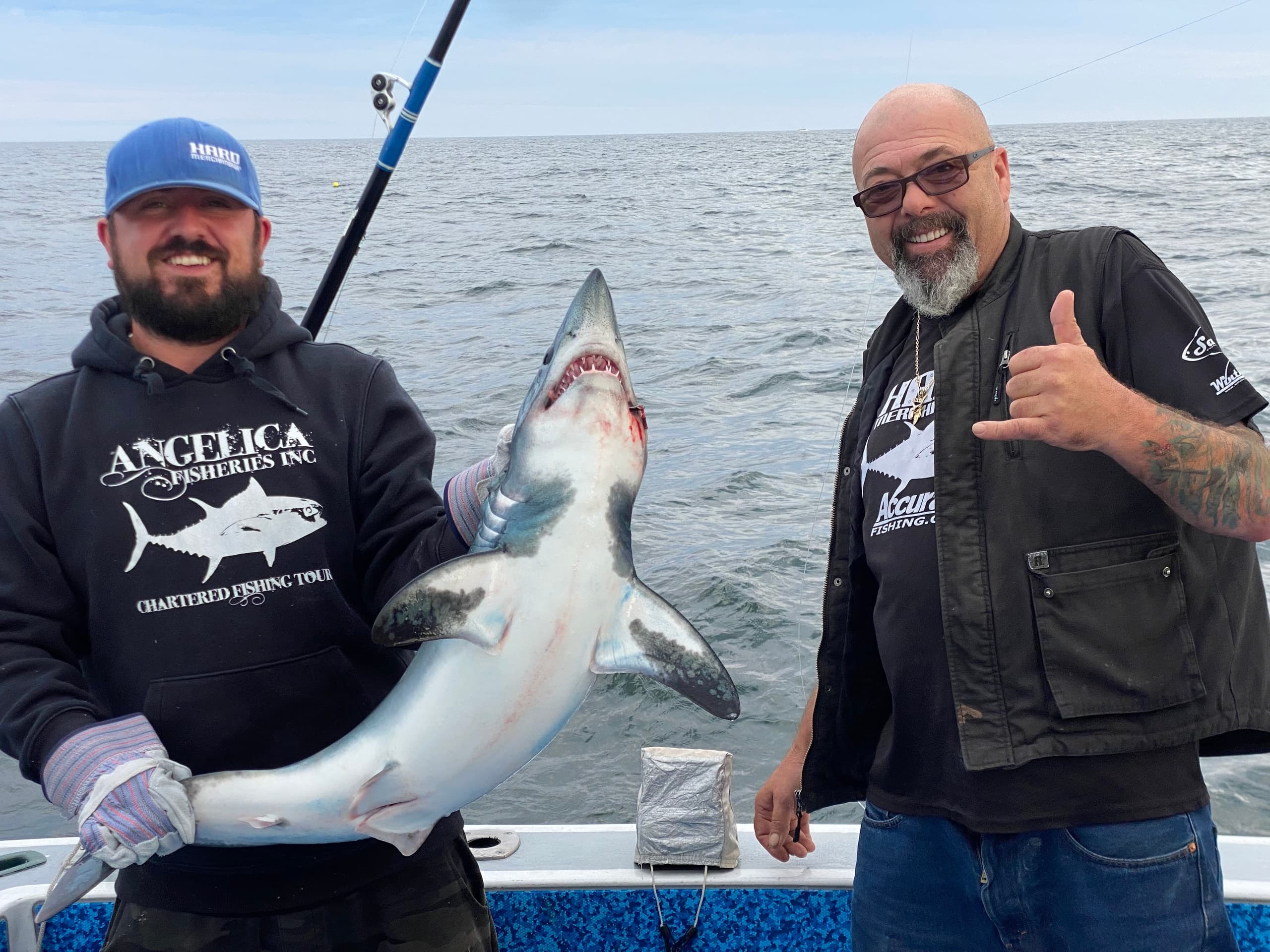 Shark Fishing Adventure with Angelica Fisheries in New England