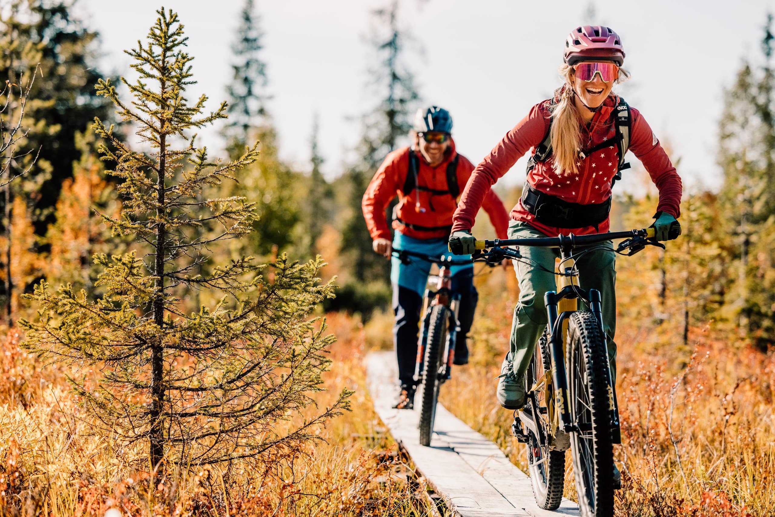 E-Fatbike Through Lapland: Reindeer Trails Tour in Sirkka Lappi photo 3