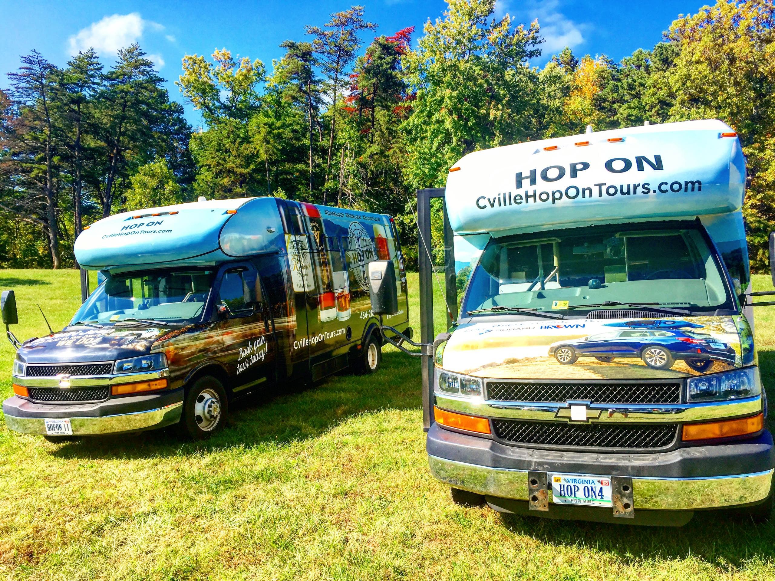 Explore Virginia Wine Country: The Route 231 Hop On Public Tour from Charlottesville
