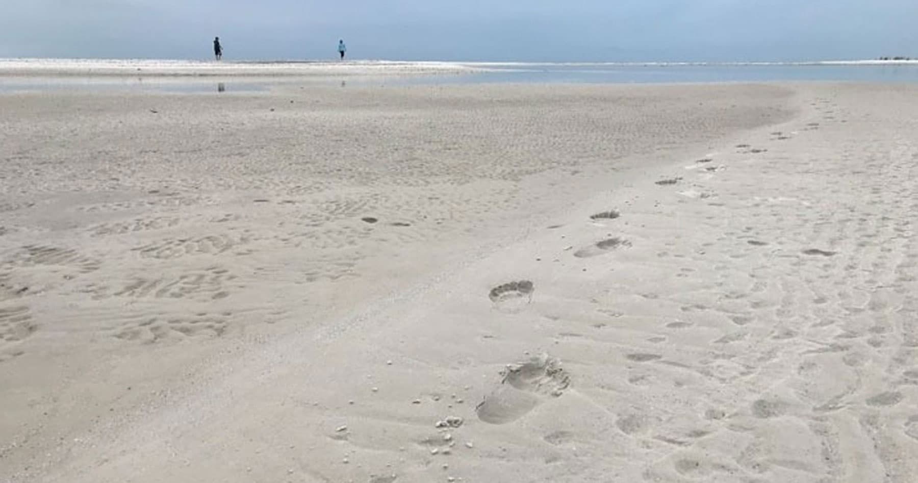 Sand Bar Shelling Tour in Goodland, Florida