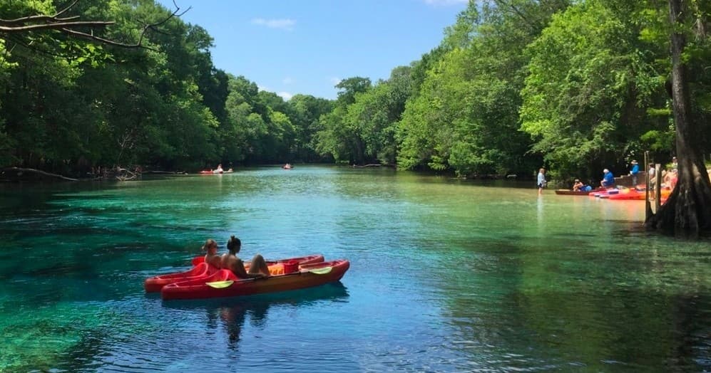 Couple kayaking down scenic tree-lined spring river