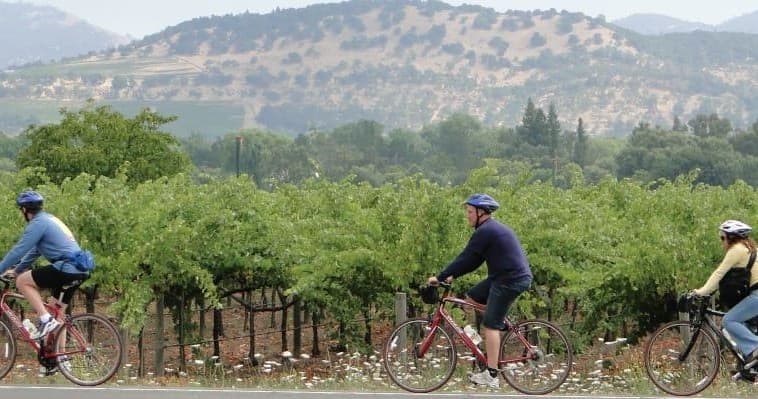 Cyclists pedaling along vineyard hills with valley views