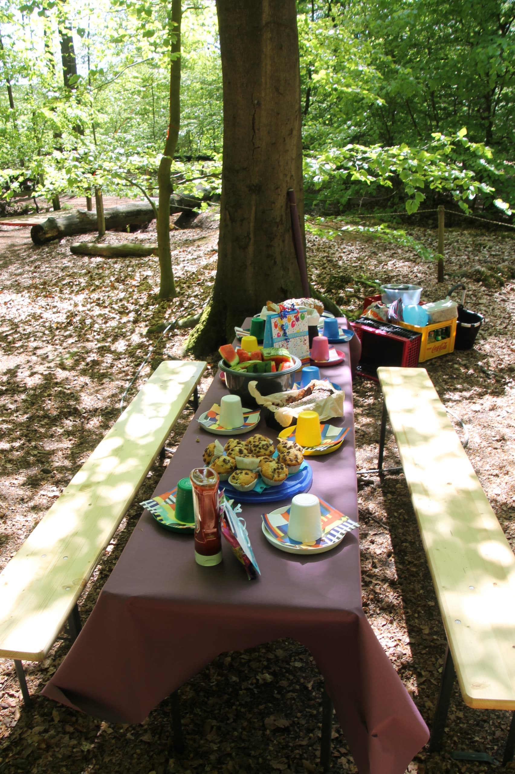 Climbing Fun for Kids at Hochseilgarten Hasloh