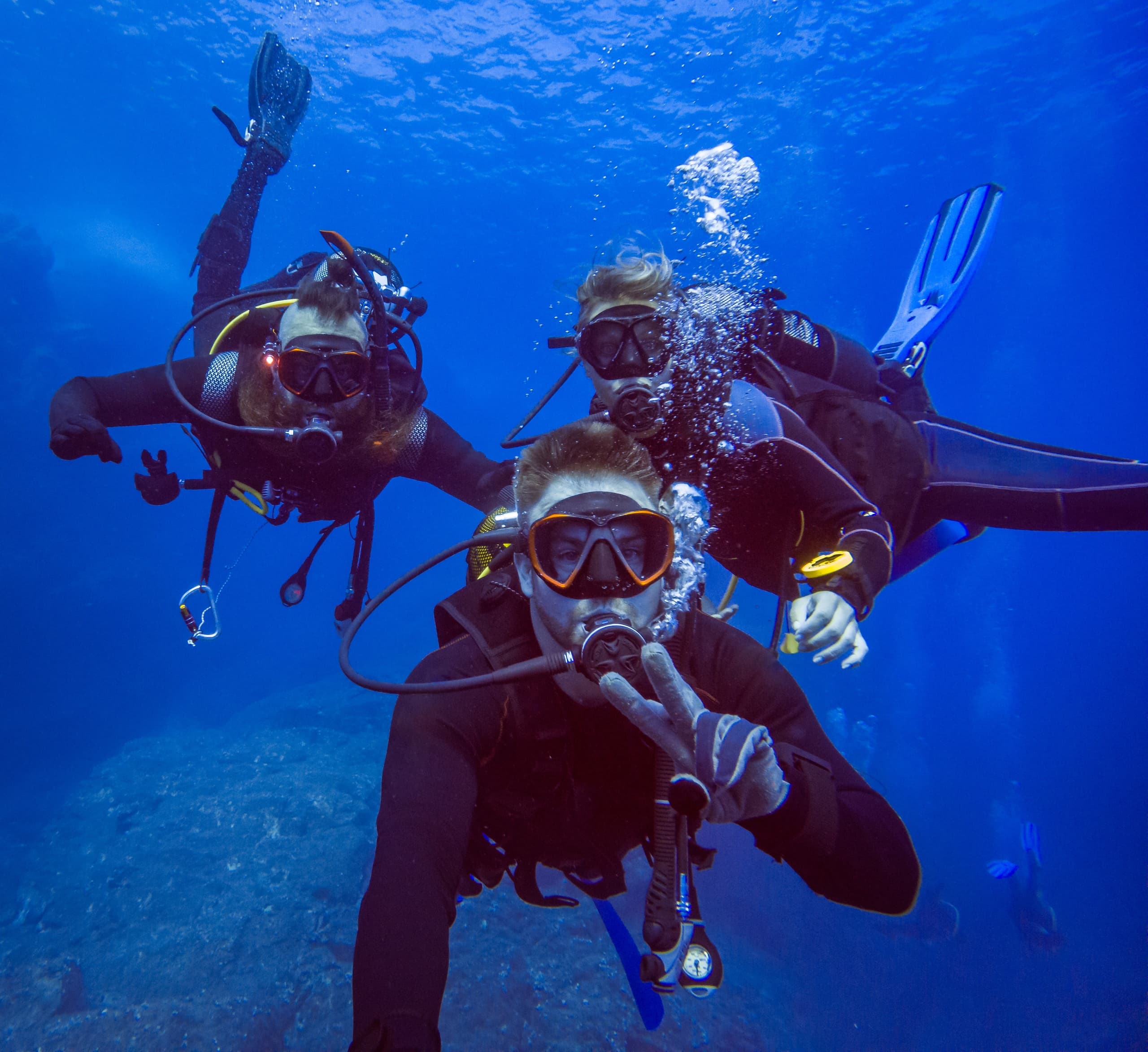 Discover Scuba in Islamorada: Introductory PADI Dive Experience in the Florida Keys photo 2