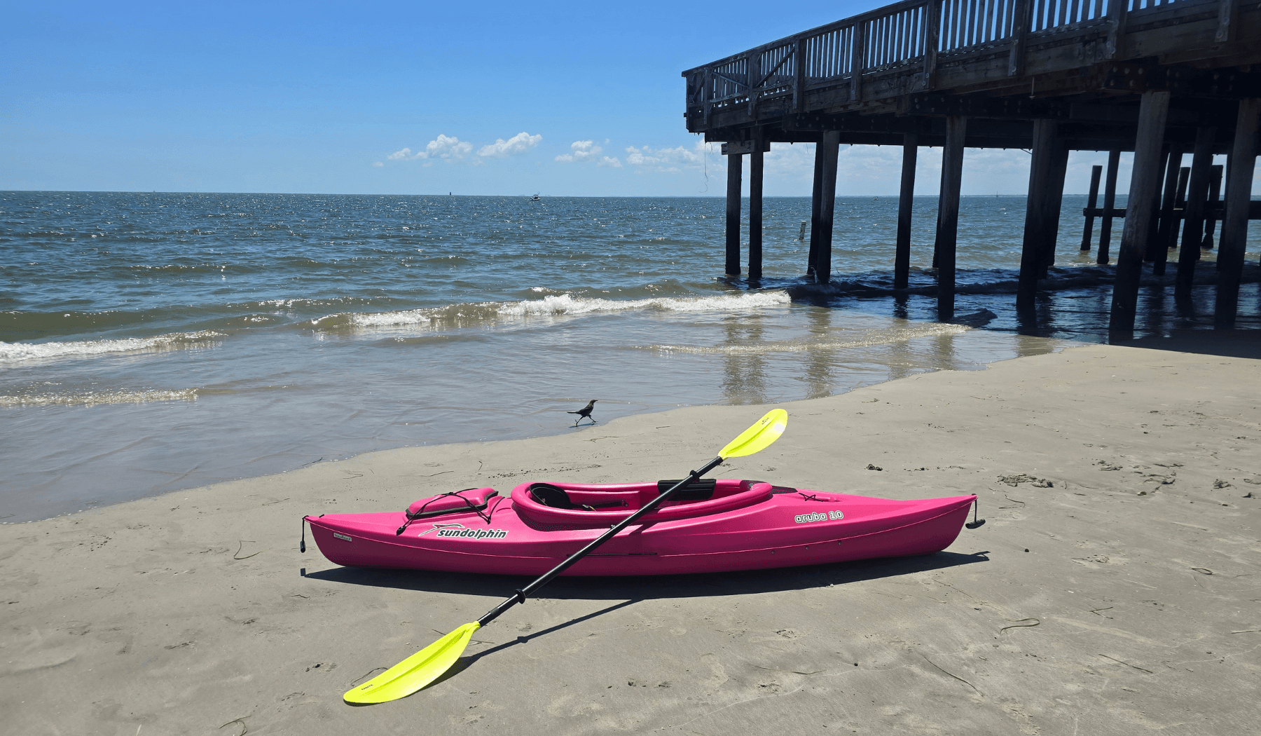 Green Wave Watersports LLC team