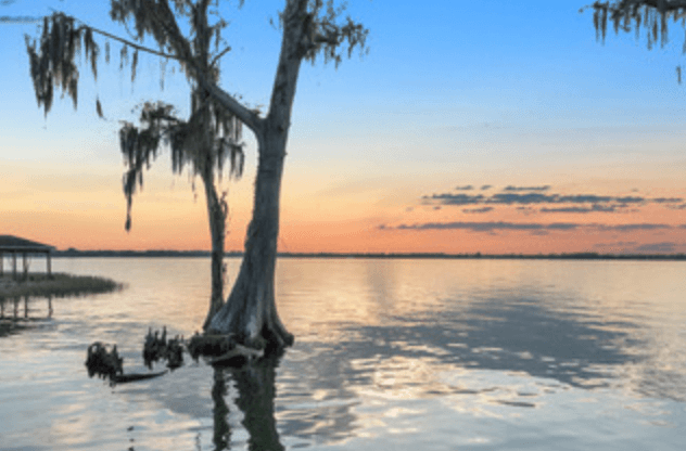 Pontoon Pub Crawl in Winter Haven, Florida