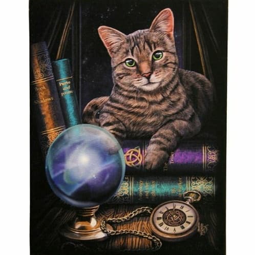 Tabby cat portrait with books and crystal globe on tabletop