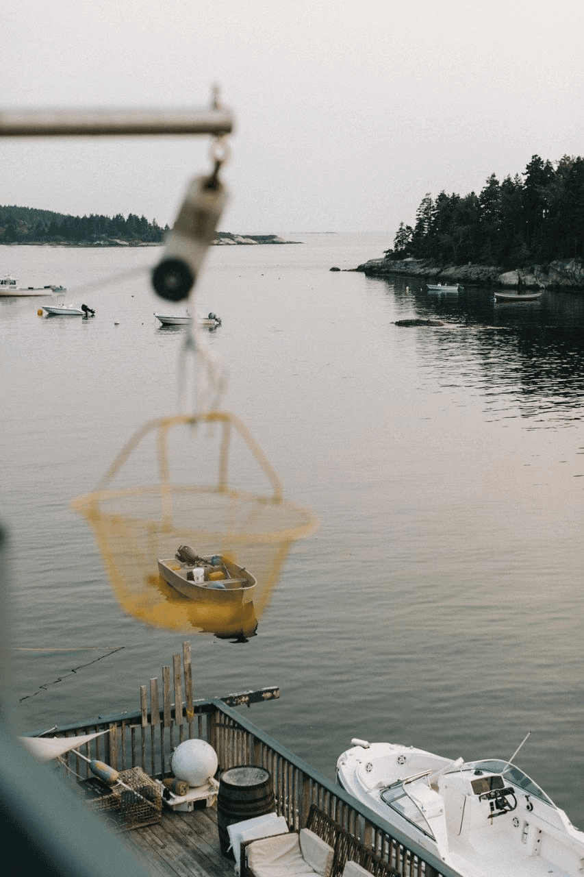 Harbor crane lowering catch over coastal island waters