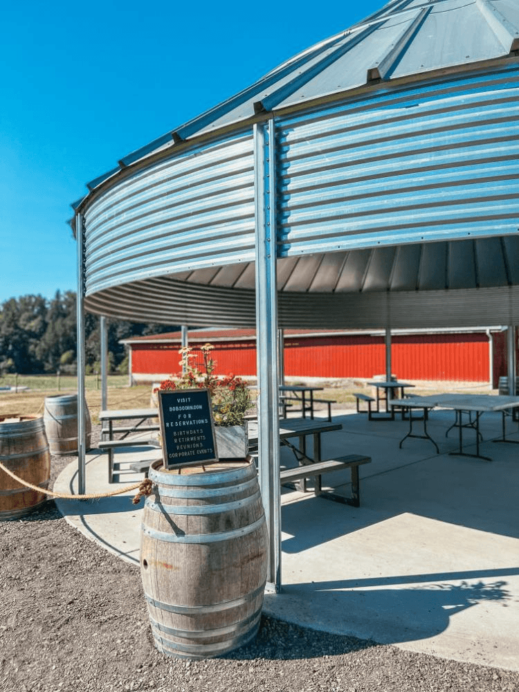 Land Adventures at Bob's Corn & Pumpkin Farm: Unique Grain Bin Gazebo Experience