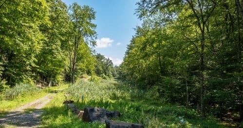 Discover Remote Trails with Girl Gotta Hike in New York’s Catskills and Adirondacks