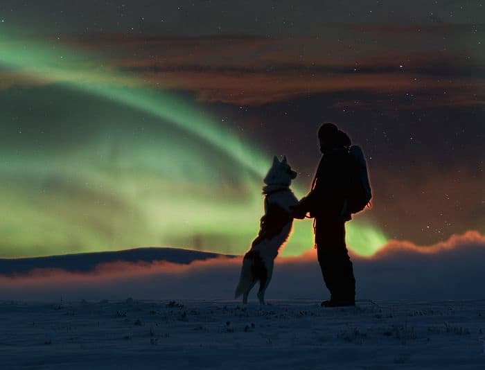 Aurora Hunting with Siberian Huskies at Star Arctic Hotel