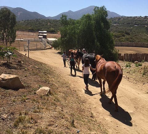 Ranch Adventure Dude Ranch Experience: Authentic California Outdoor Escape Near Poway