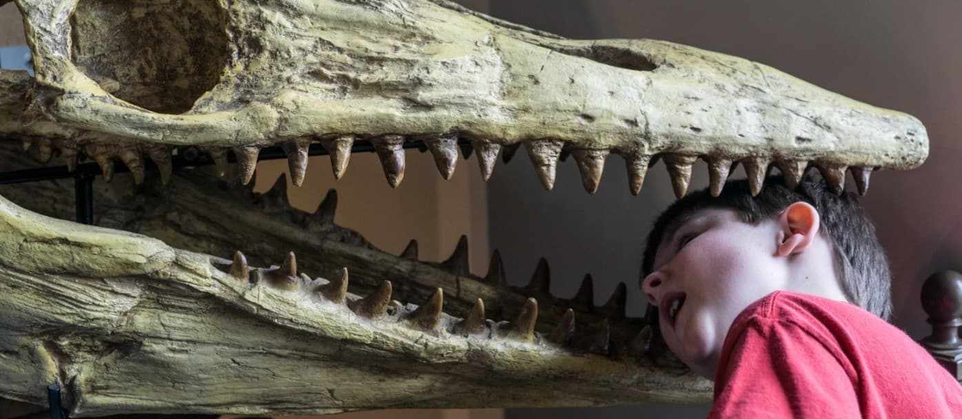 Ice Age Private Group Tours at Fossil Discovery Center, Chowchilla