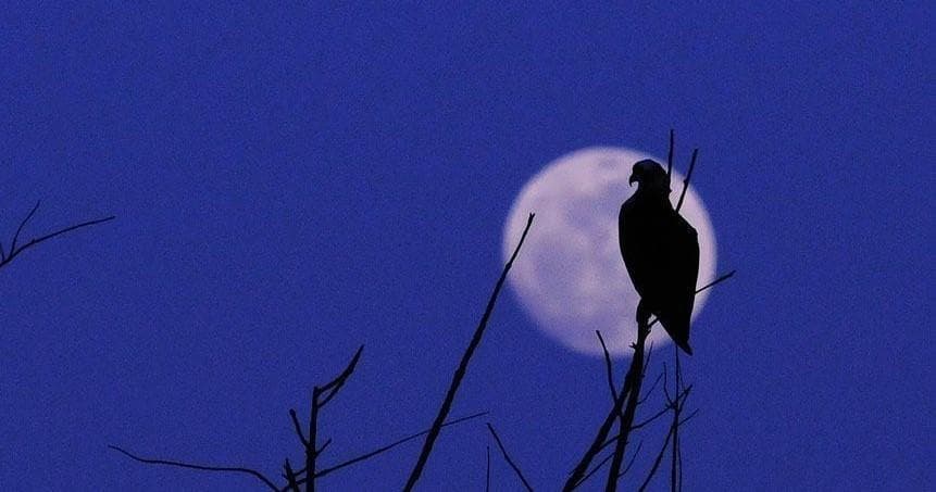 Water Activities & Coastal Kayak Adventure with Full Moon Tour