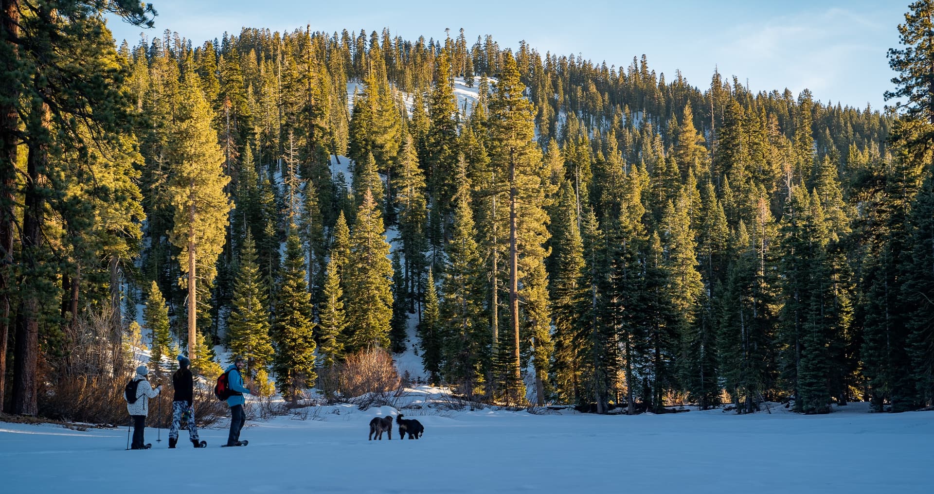 Snowshoe Tahoe fleet