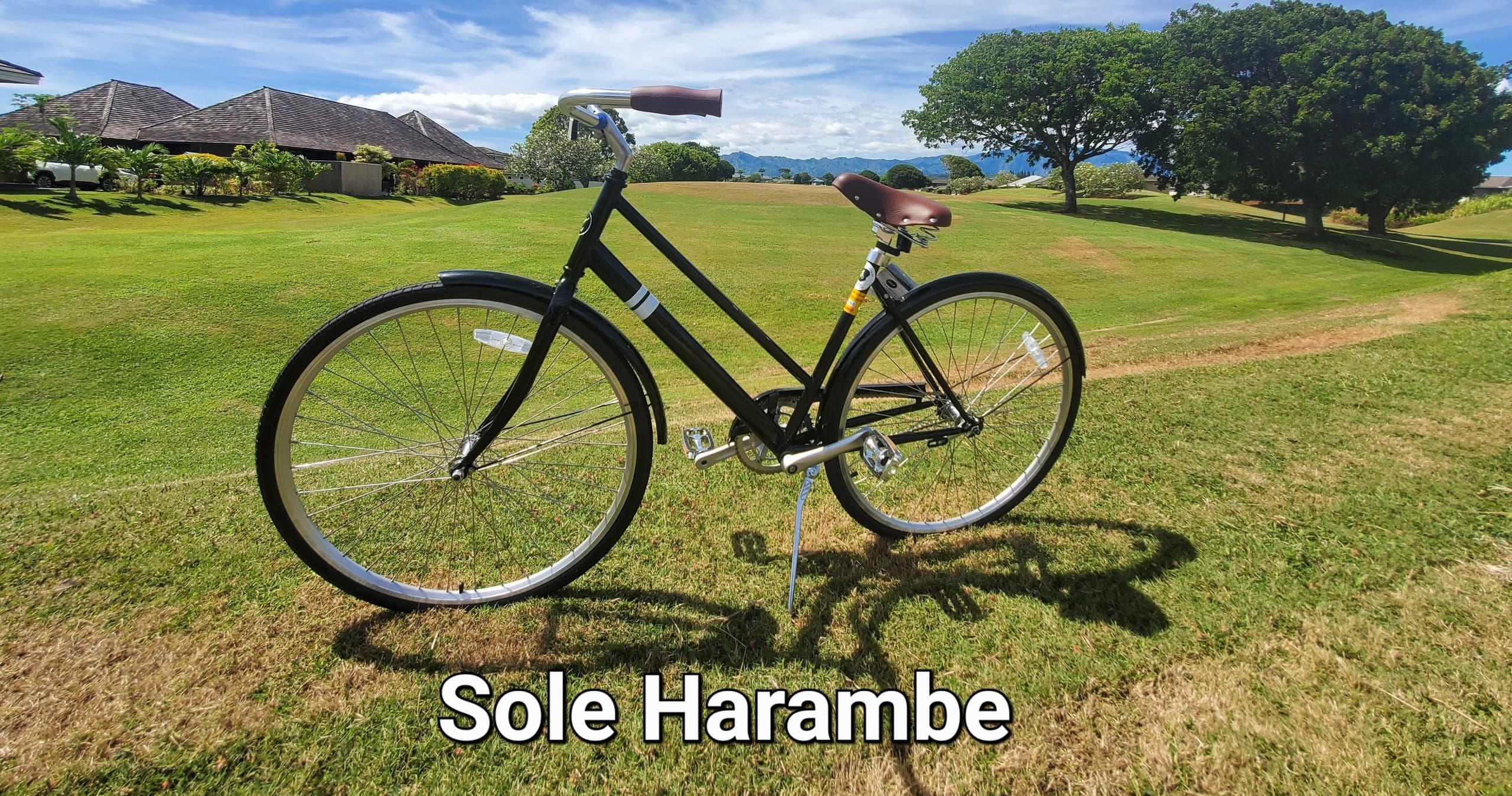Kauai Ebikes’ Two Hour Single-Speed Bike Ride in Koloa