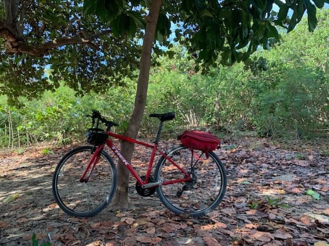 Bike Adventure with Vieques Cycles in Vieques Island