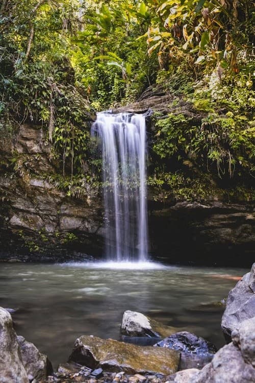 Drive-Yourself Rainforest River Tour near El Yunque — 90-Minute Family Adventure in Luquillo