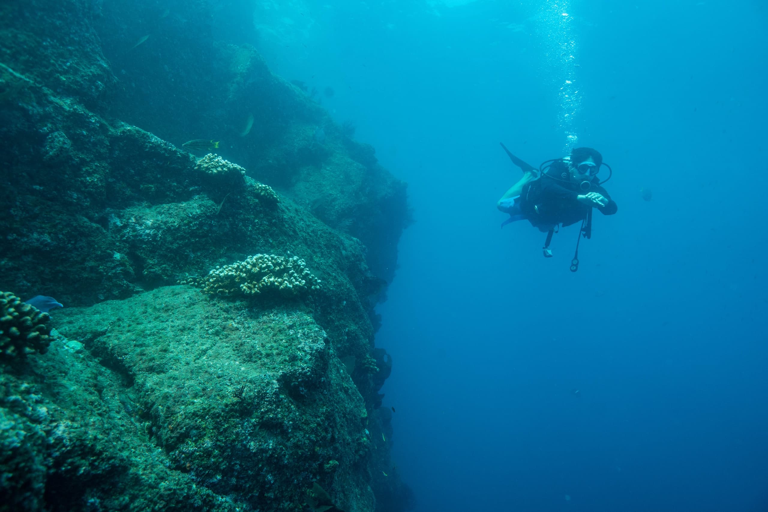 Dive Into Adventure: Discover Scuba Diving in Cabo San Lucas for Beginners