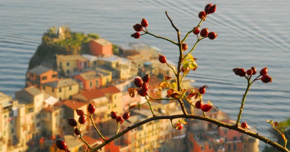 Long Distance Hiking Adventures in Manarola, Italy