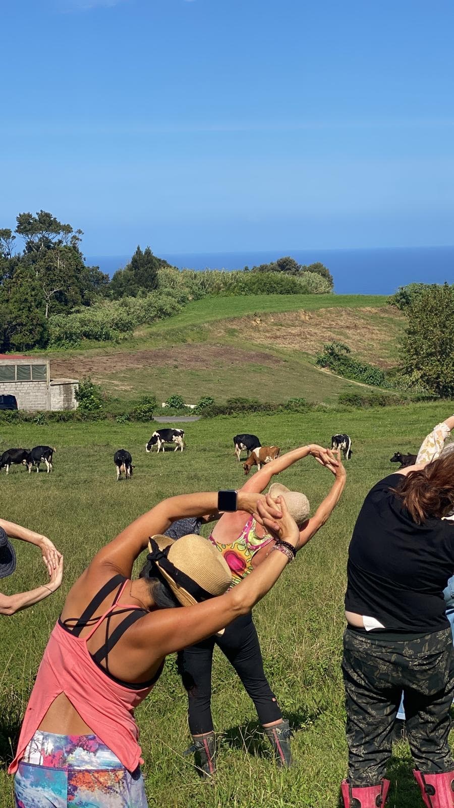 Pasture Reset: Farm Meditation, Milking & Cheese Tasting in Achadinha, Azores