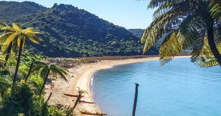 Coromondal Beach Private Tour: Cathedral Cove, Hot Water Beach & Driving Creek Railway Day Trip