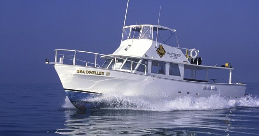 Dive & Snorkel Trips in Key Largo, Florida