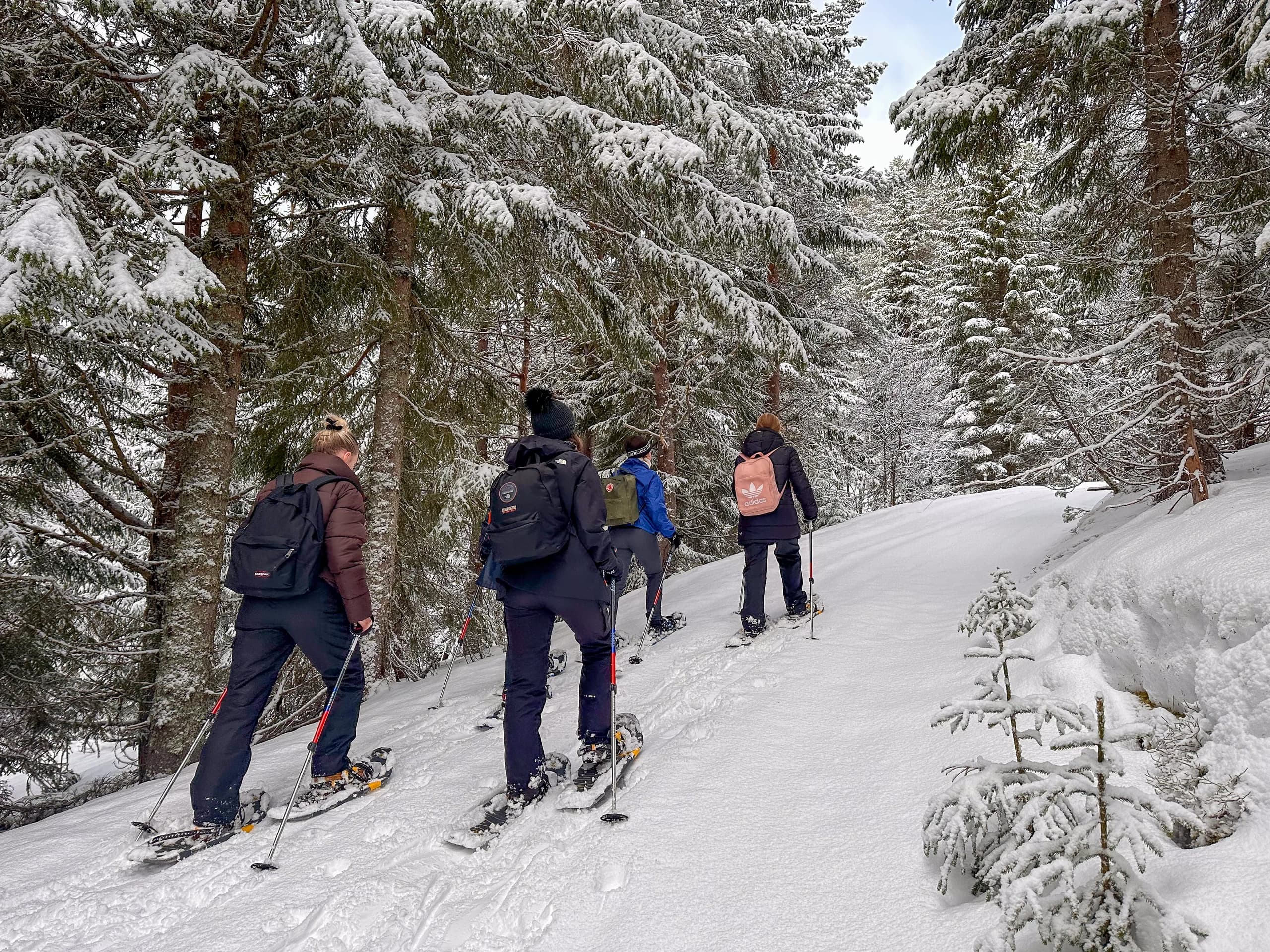 Vossevangen Snowshoe Tour with Outdoor Norway