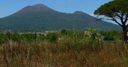 Pompeii and Mount Vesuvius Hike: History and Nature in Campania