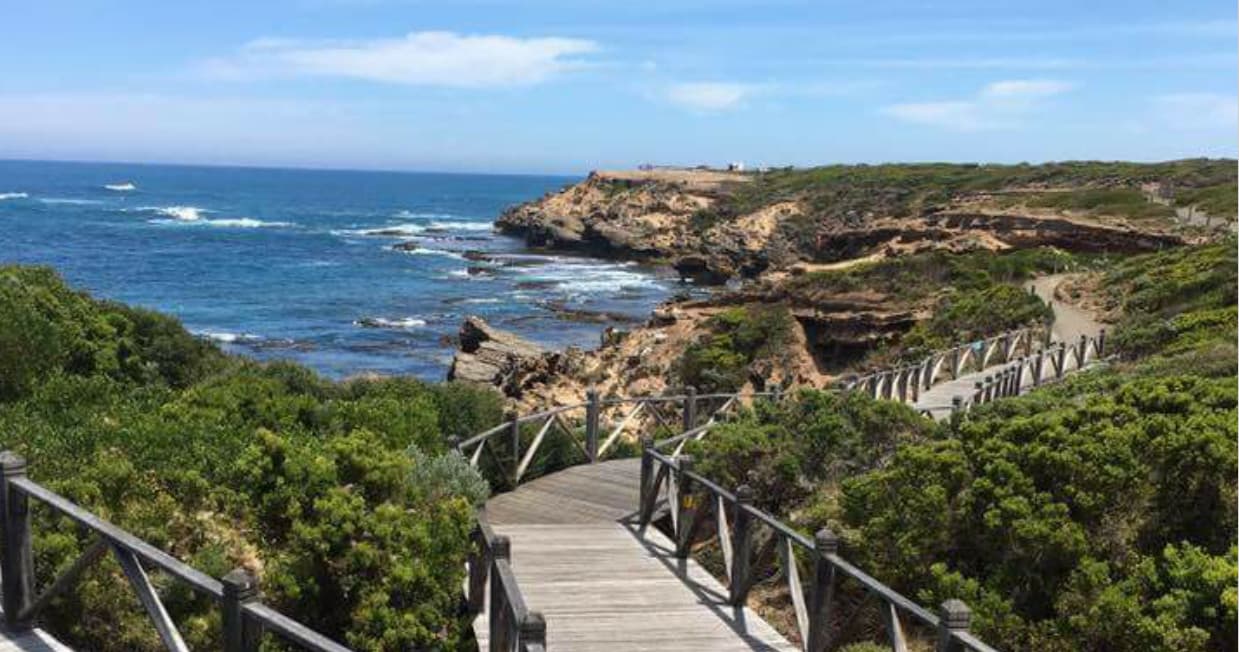 Wildlife & Coastal Adventure: Warrnambool Wanderer Tour
