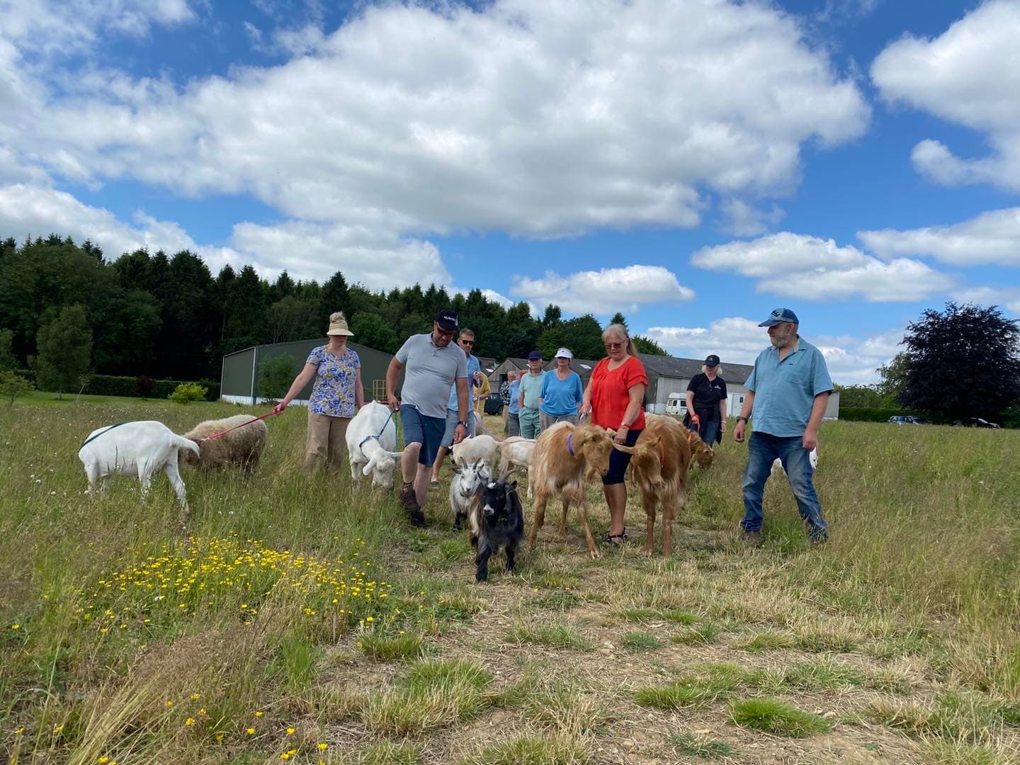 Wildlife & Animal Experiences at Wildwoodland Retreat