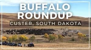 Wildlife & Land Adventures with Beyond Horizons in South Dakota