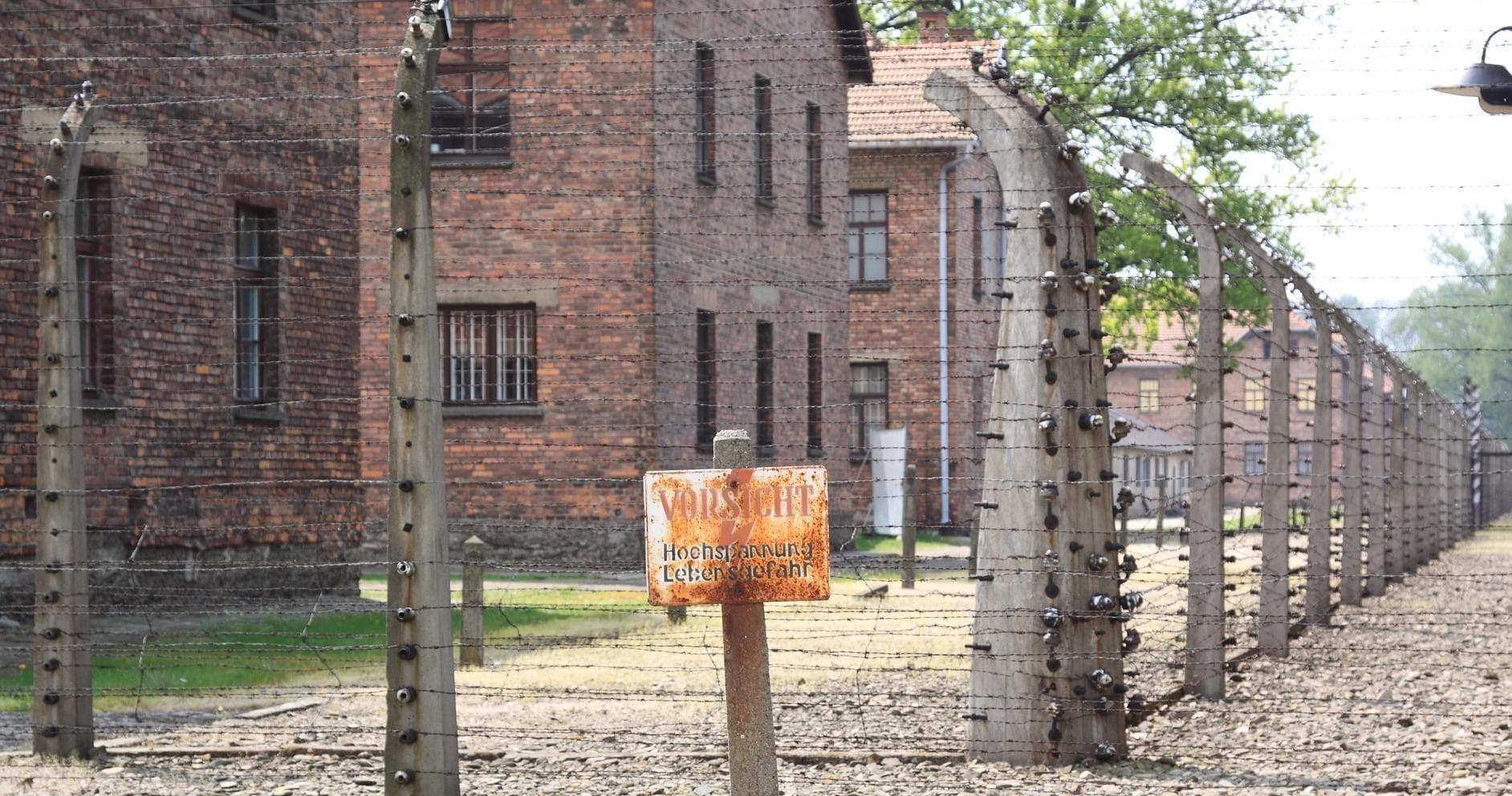 Auschwitz Birkenau History Tour with Gr8 Way Transport