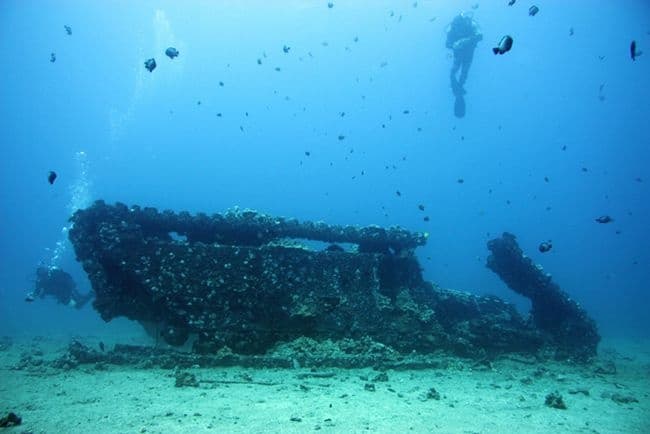 Dive the South Maui Coast with Island Style Diving