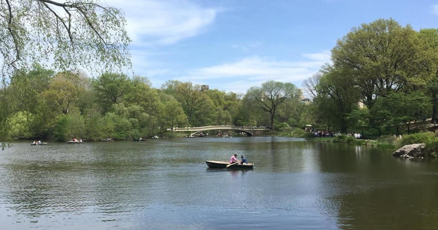 Central Park Walking Tour with Custom NYC Tours